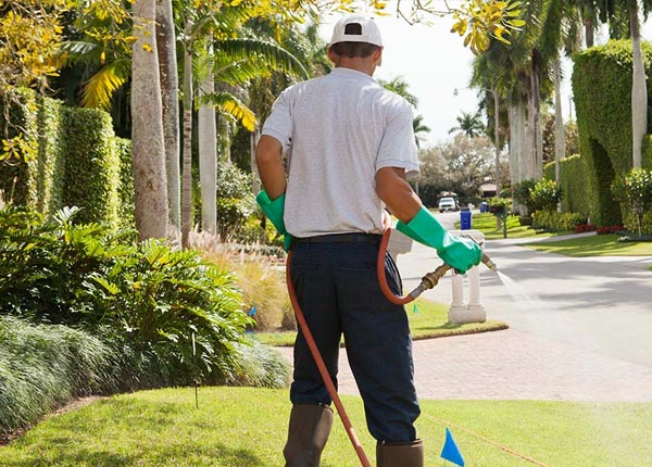 About Turtle Creek PA Pest Control Pros